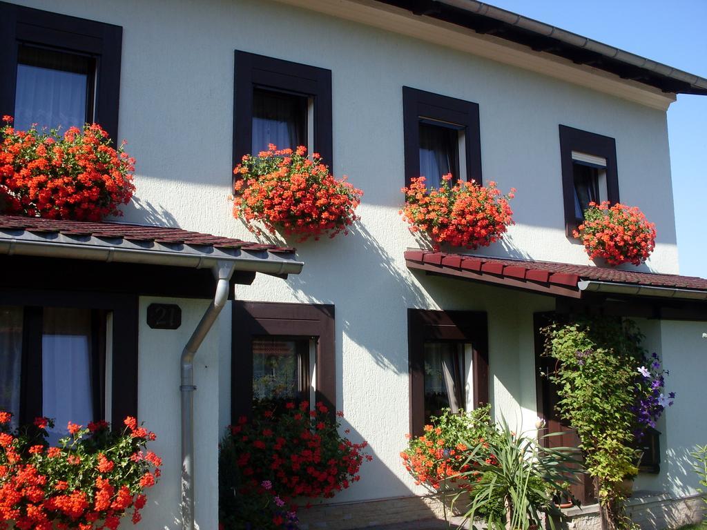 Ferienwohnung Bayer Estância Termal de Gohrisch Exterior foto